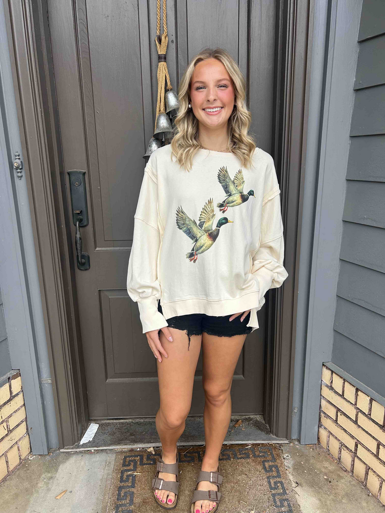 Free People *DUPE* Duck Pullover