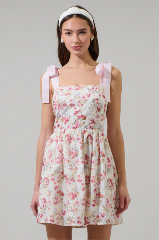 Hanna Eyelet Nidia Mini Dress PINK