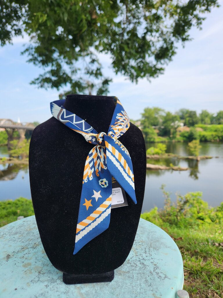 Skinny Mult Print Scarf- Blue/Orange/Cord