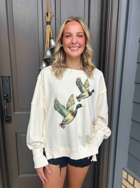 Free People *DUPE* Duck Pullover