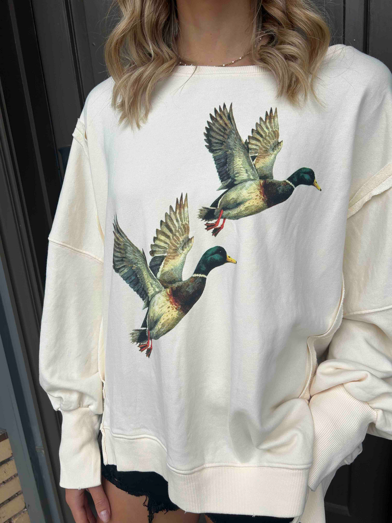 Free People *DUPE* Duck Pullover