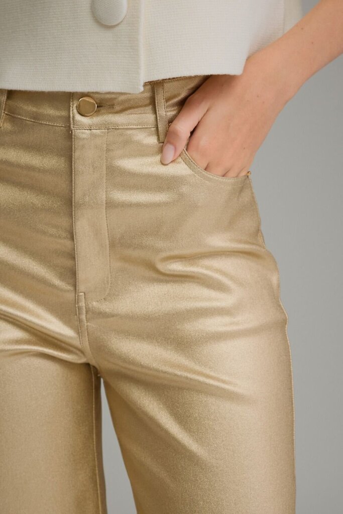 Metallic Wide Leg Pants